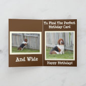 Grappige Verjaardag Kaart w / Schattige Zoeken Bas (Binnen)