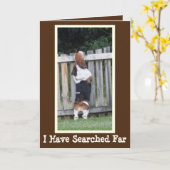 Grappige Verjaardag Kaart w / Schattige Zoeken Bas (Gele Bloem)