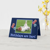 Grappige Verjaardag Kaart w / Schattigee Basset &  (Gele Bloem)