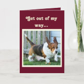 Grappige Verjaardag Kaart w / Schattigee Basset Ho (Voorkant)