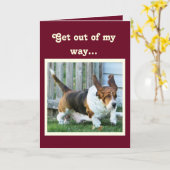 Grappige Verjaardag Kaart w / Schattigee Basset Ho (Gele Bloem)