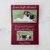 Grappige Verjaardag Kaart w / Zoeken Basset Hound (Binnen)