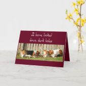 Grappige Verjaardag Kaart w / Zoeken Basset Hound (Gele Bloem)