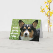Grappige Verjaardag Kaart Welsh Corgi (Gele Bloem)