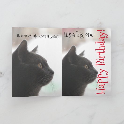 Grappige Verjaardag Kat Kaart (Binnen)