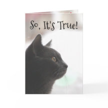 Grappige Verjaardag Kat Kaart