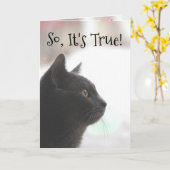 Grappige Verjaardag Kat Kaart (Gele Bloem)