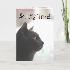Grappige Verjaardag Kat Kaart