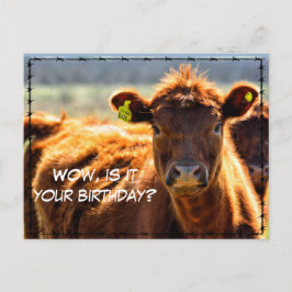 Grappige Verjaardag Platteland Boerderij Post Boer Briefkaart