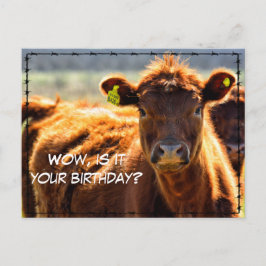 Grappige Verjaardag Platteland Boerderij Post Boer Feestdagenkaart