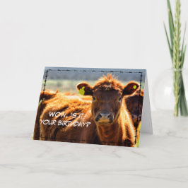 Grappige Verjaardag Platteland Boerderij Post Boer Kaart