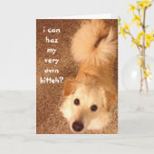 Grappige verjaardag, Schattigee hondenwensen voor  Kaart (Gele Bloem)