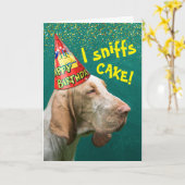 Grappige Verjaardag Sniffs Hound Dragen Party Pet Kaart (Gele Bloem)