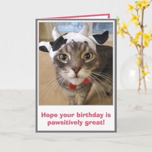 Grappige Verjaardag van de Kat Kaart (Gele Bloem)