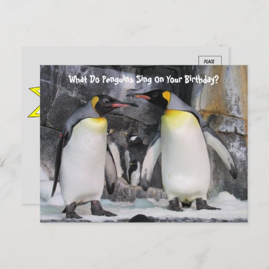 Grappige verjaardagsansichtkaart van koningspinguï briefkaart (Voorkant / Achterkant)