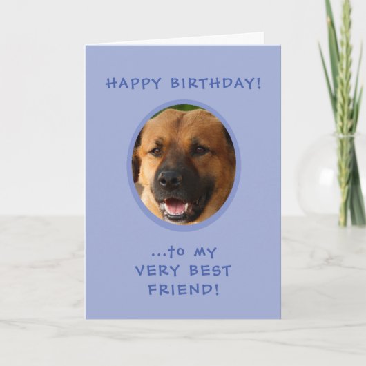 Grappige verjaardagsfotokaart van hond naar eigena kaart (Voorkant)
