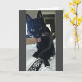 Grappige verjaardagskaart 50ste kat kaart (Gele Bloem)