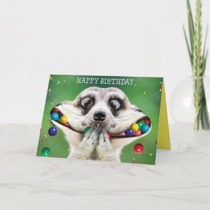 Grappige verjaardagskaart - Meerkat Kaart