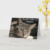 Grappige verjaardagskaart met kat: moet ik wakker  kaart (Gele Bloem)