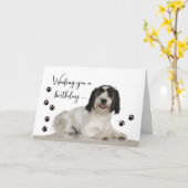 Grappige verjaardagskaart met Lowchen-hond en modd Kaart (Gele Bloem)