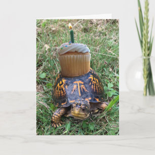 Grappige Verjaardagskaart Na Datum Kaart