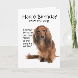 Grappige verjaardagskaart voor een Dachshund Kaart