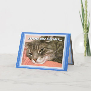 Grappige verjaardagskaart voor katten kaart