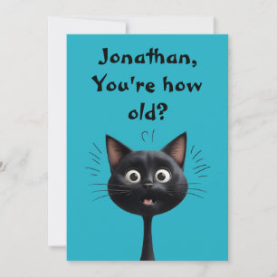 Grappige verraste zwarte kat Hoe oud blauw