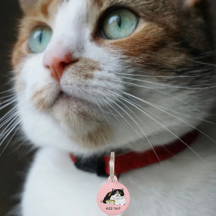 Grappige Verwende Schortelkat Voer Kat Roze Huisdierpenning