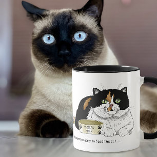 Grappige Verwende Schotse Kat Voer Kat Roze Mok