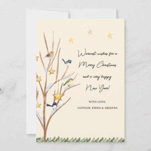 Grappige vier roepende vogels Kerstmis Feestdagenkaart (Achterkant)
