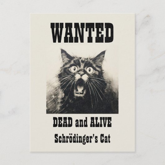 Grappige Vintage Gezocht Poster Schrödinger's Cat Briefkaart (Voorkant)