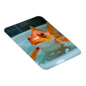 Grappige vissen in bad magneet (Rechterzijde)