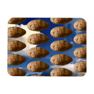 Grappige Vliegende Aardappels Ruimteaardappel Foto Magneet