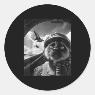 Grappige Vliegtuig Kat Jet Piloot Selfie Siamese S Ronde Sticker