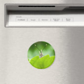 Grappige vlinder glundert over blad magneet (Insitu (Vaatwasser))