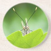 Grappige vlinder glundert over blad zandsteen onderzetter (Voorkant)