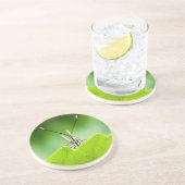 Grappige vlinder glundert over blad zandsteen onderzetter (Zijkant)