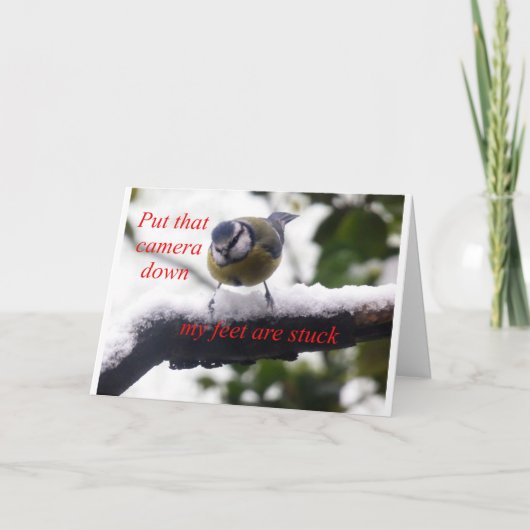 Grappige vogel in de sneeuw kaart (Voorkant)