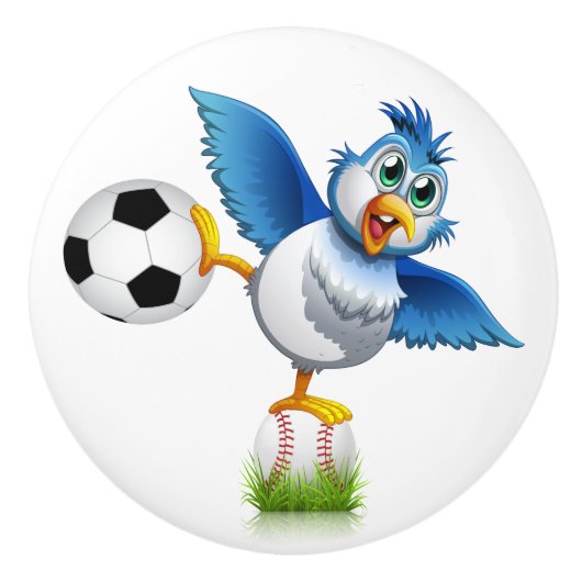 Grappige vogel keramische knop (Voorkant)