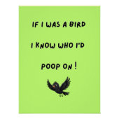 Grappige Vogel Poster (Voorkant)
