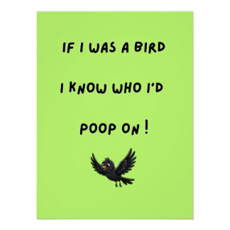 Grappige Vogel Poster