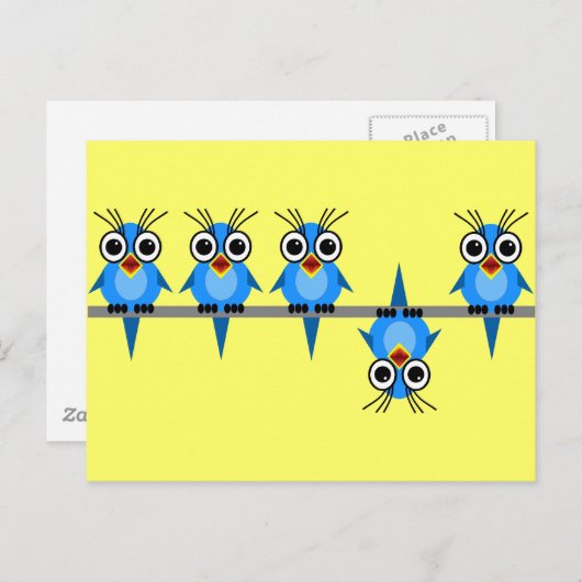grappige vogels briefkaart (Voorkant / Achterkant)