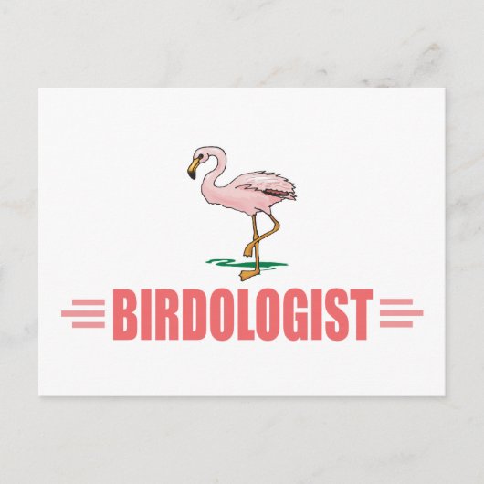 Grappige Vogels Flamingo Briefkaart (Voorkant)