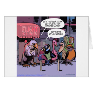 grappige vogels van een zeehond