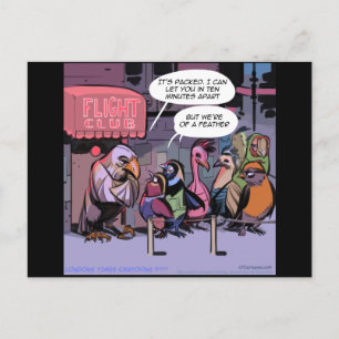 grappige vogels van een zeehond briefkaart