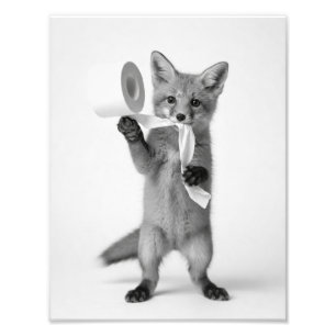 Grappige Vos Houdt Toiletpapier Minimalistische Wi Foto Afdruk