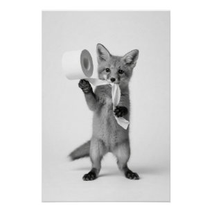 Grappige Vos Houdt Toiletpapier Minimalistische Wi Perfect Poster
