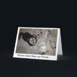 Grappige Vriend Puppy Verjaardag Kaart<br><div class="desc">"Charlie & Boo" gered Havanese Puppies - foto door Patricia Merewether</div>