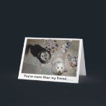 Grappige Vriend Puppy Verjaardag Kaart<br><div class="desc">"Charlie & Boo" gered Havanese Puppies - foto door Patricia Merewether</div>